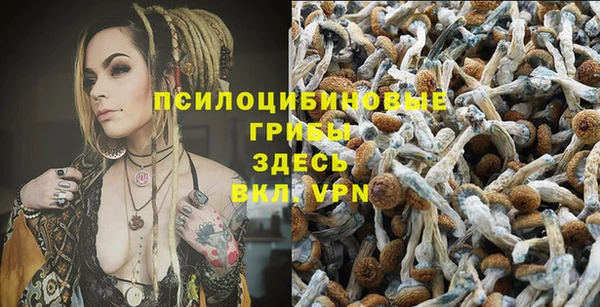 трава Абинск