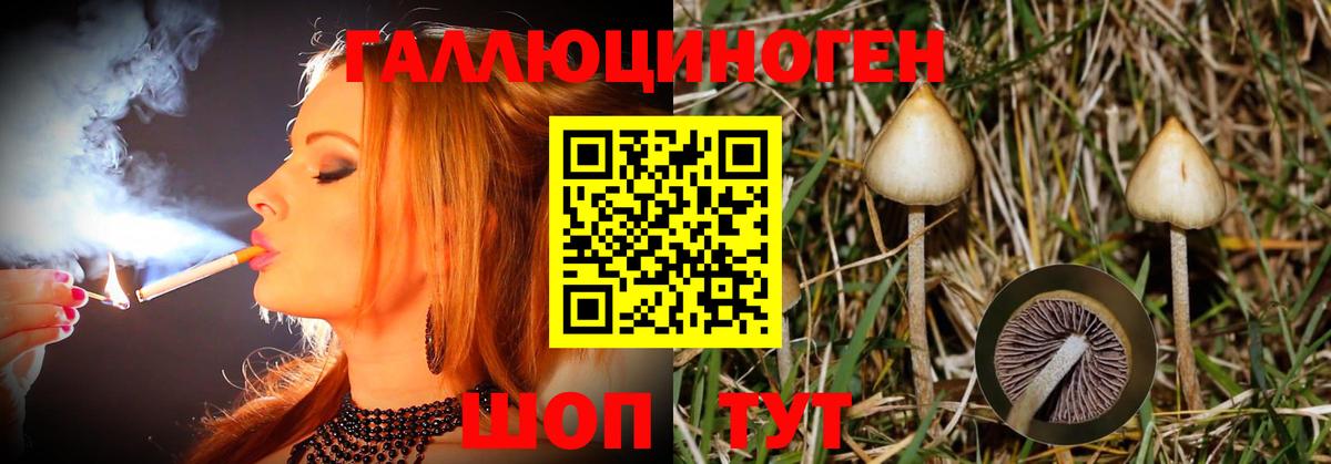 Галлюциногенные грибы MAGIC MUSHROOMS  Вход с VPN  Торжок 